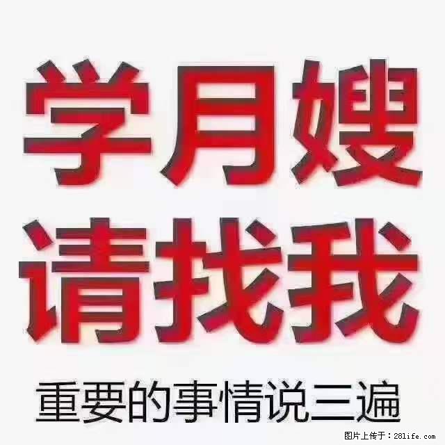 为什么要学习月嫂,育婴师? - 其他广告 - 广告专区 - 南平分类信息 - 南平28生活网 np.28life.com