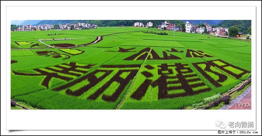 【春天,广西桂林灌阳县向您发出邀请!】开篇 - 游山玩水 - 南平生活社区 - 南平28生活网 np.28life.com