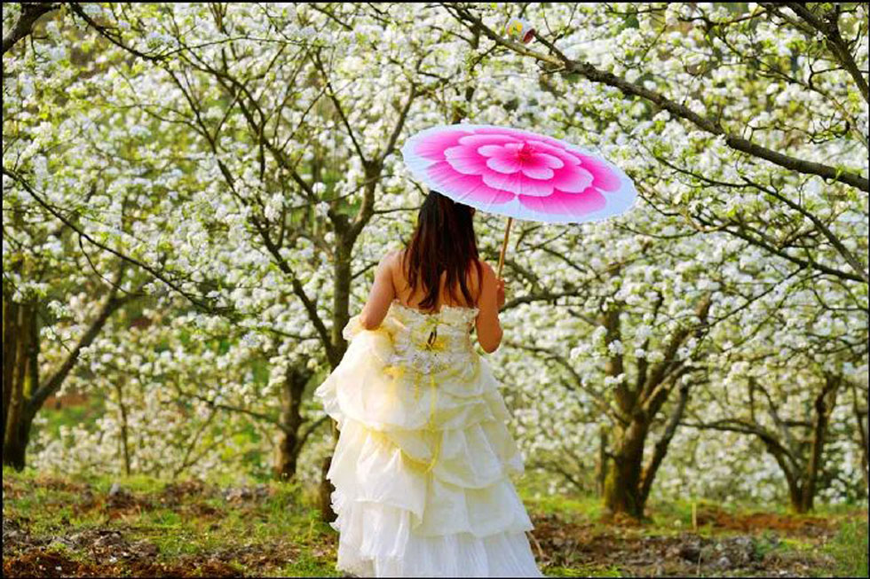 【春天,广西桂林灌阳县向您发出邀请!】我们在灌阳看梨花 - 游山玩水 - 南平生活社区 - 南平28生活网 np.28life.com