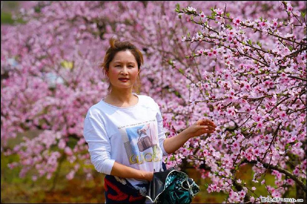【春天,广西桂林灌阳县向您发出邀请!】官庄村有个醉美的桃花园 - 游山玩水 - 南平生活社区 - 南平28生活网 np.28life.com