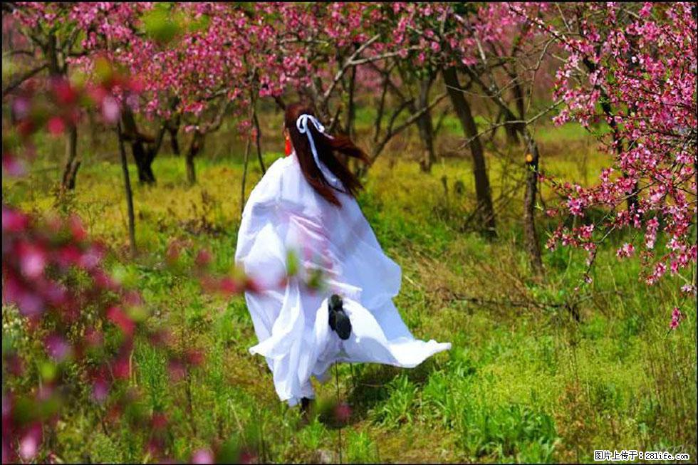 【春天,广西桂林灌阳县向您发出邀请!】官庄村有个醉美的桃花园 - 游山玩水 - 南平生活社区 - 南平28生活网 np.28life.com