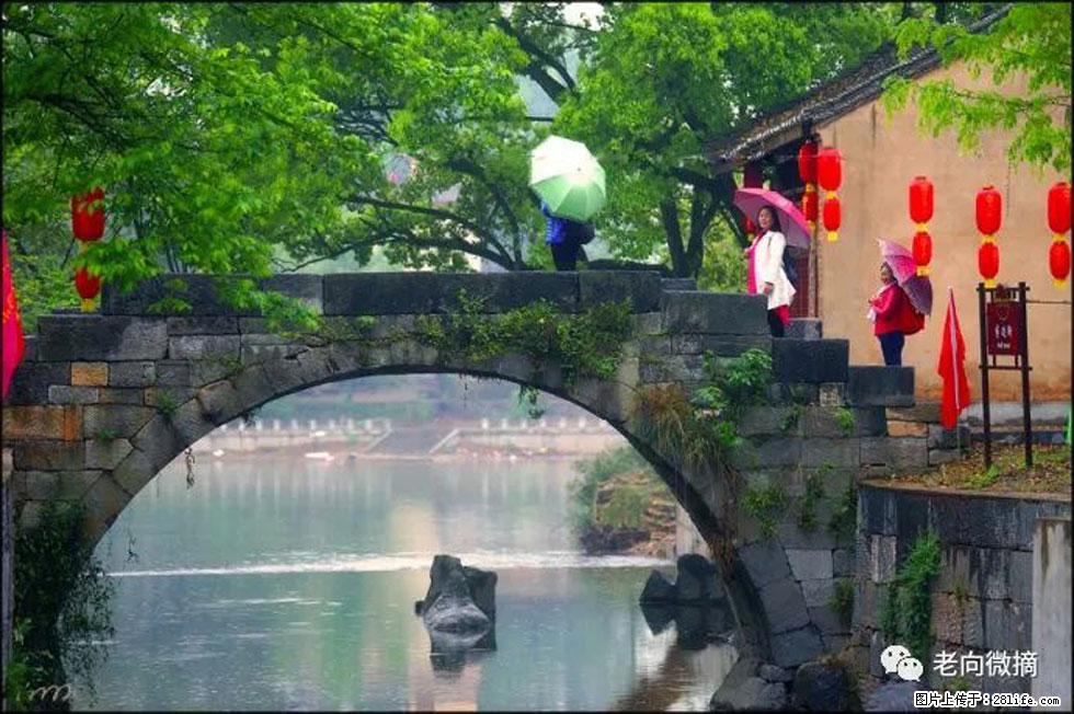 【春天,广西桂林灌阳县向您发出邀请!】江口老街又逢春 - 游山玩水 - 南平生活社区 - 南平28生活网 np.28life.com