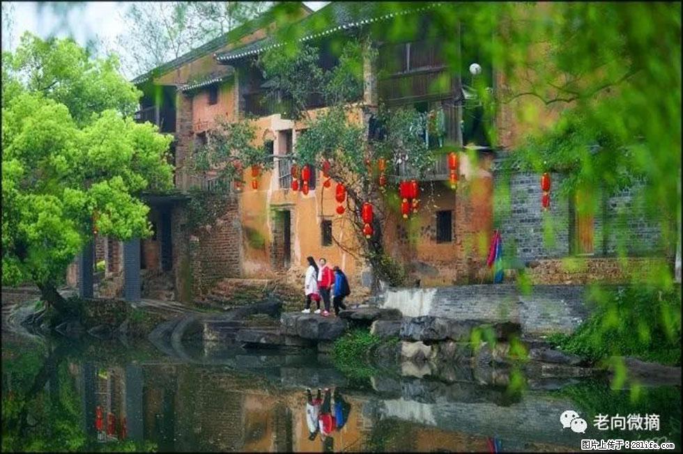 【春天,广西桂林灌阳县向您发出邀请!】江口老街又逢春 - 游山玩水 - 南平生活社区 - 南平28生活网 np.28life.com