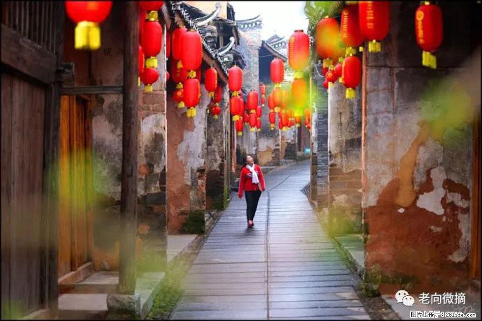 【春天,广西桂林灌阳县向您发出邀请!】江口老街又逢春 - 游山玩水 - 南平生活社区 - 南平28生活网 np.28life.com