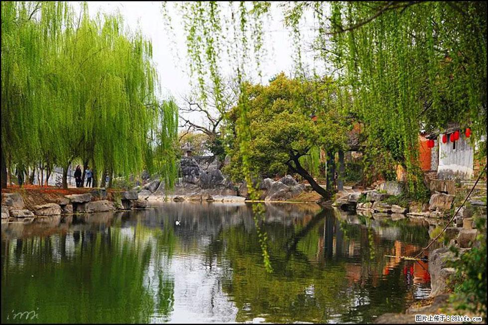 【春天,广西桂林灌阳县向您发出邀请!】江口老街又逢春 - 游山玩水 - 南平生活社区 - 南平28生活网 np.28life.com