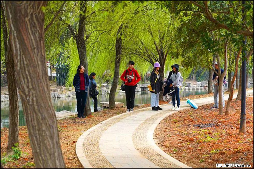 【春天,广西桂林灌阳县向您发出邀请!】江口老街又逢春 - 游山玩水 - 南平生活社区 - 南平28生活网 np.28life.com