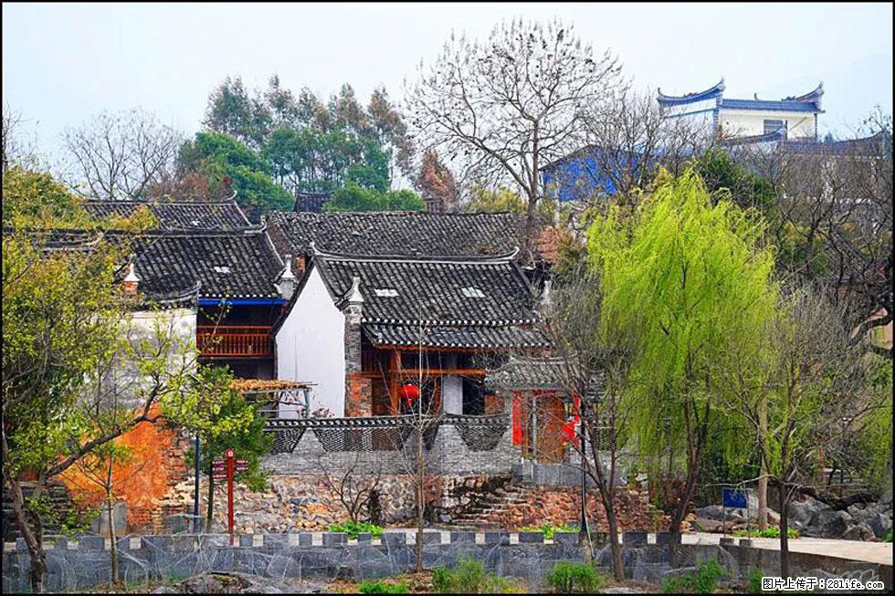【春天,广西桂林灌阳县向您发出邀请!】江口老街又逢春 - 游山玩水 - 南平生活社区 - 南平28生活网 np.28life.com