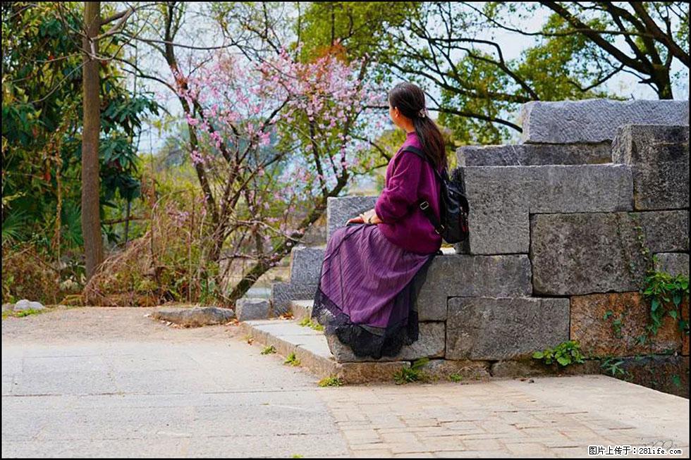 【春天,广西桂林灌阳县向您发出邀请!】江口老街又逢春 - 游山玩水 - 南平生活社区 - 南平28生活网 np.28life.com