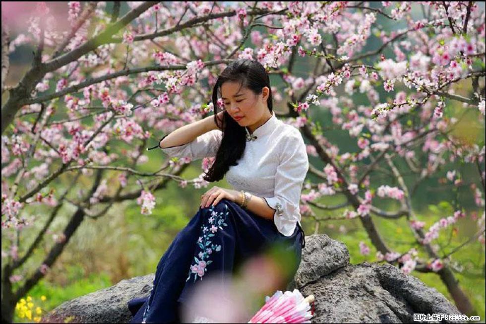 【春天,广西桂林灌阳县向您发出邀请!】望月岭上桃花开 - 游山玩水 - 南平生活社区 - 南平28生活网 np.28life.com