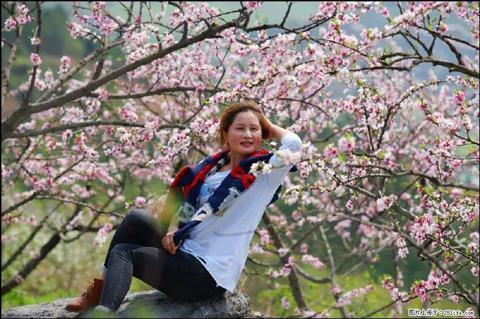 【春天,广西桂林灌阳县向您发出邀请!】望月岭上桃花开 - 游山玩水 - 南平生活社区 - 南平28生活网 np.28life.com