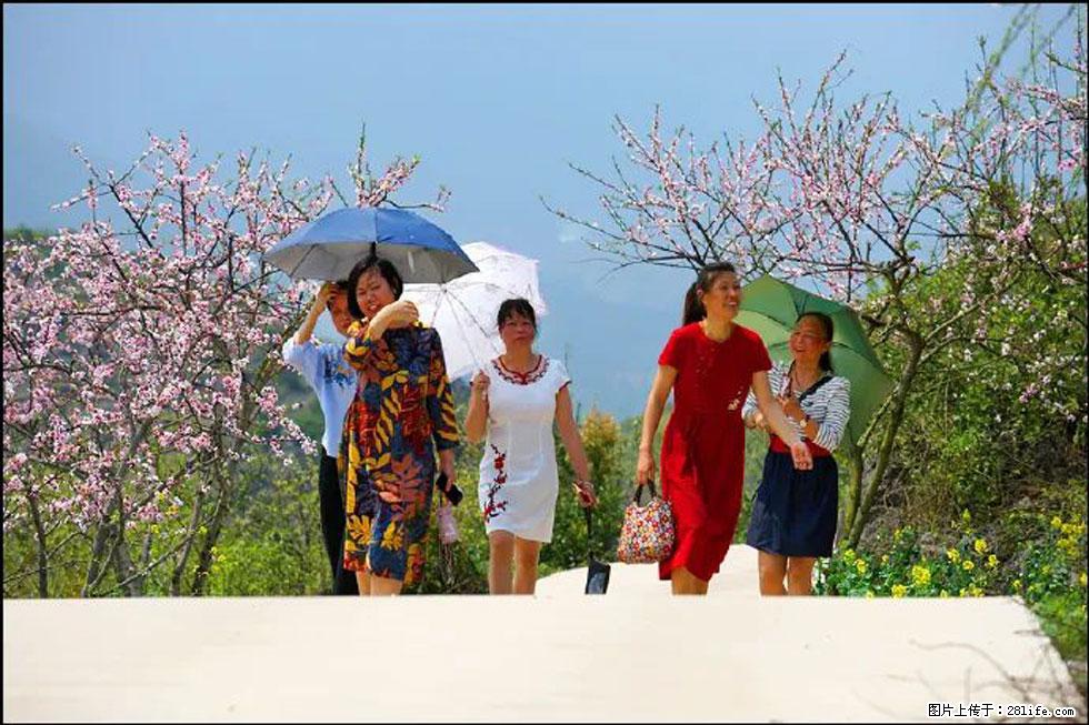 【春天,广西桂林灌阳县向您发出邀请!】望月岭上桃花开 - 游山玩水 - 南平生活社区 - 南平28生活网 np.28life.com