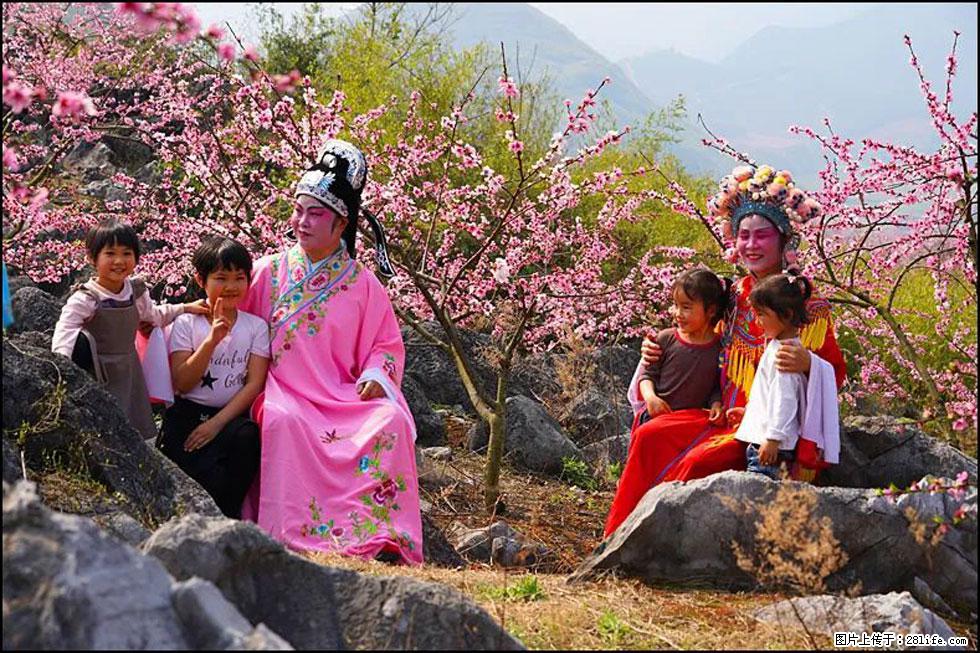 【春天,广西桂林灌阳县向您发出邀请!】望月岭上桃花开 - 游山玩水 - 南平生活社区 - 南平28生活网 np.28life.com