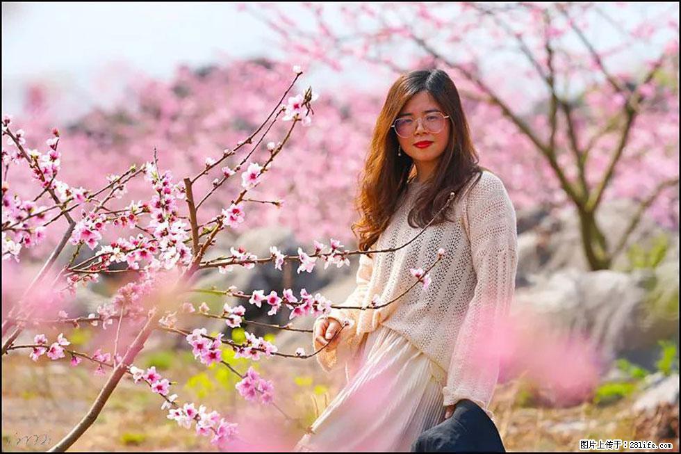 【春天,广西桂林灌阳县向您发出邀请!】望月岭上桃花开 - 游山玩水 - 南平生活社区 - 南平28生活网 np.28life.com