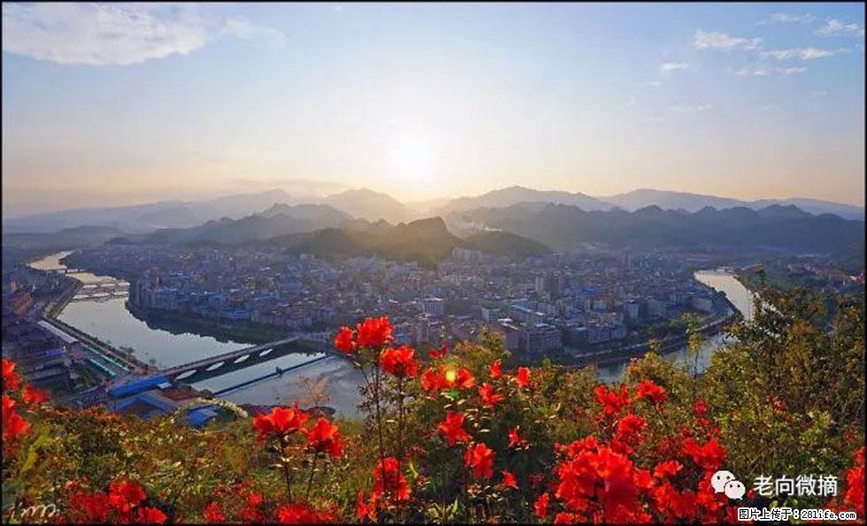【春天,广西桂林灌阳县向您发出邀请!】登麒麟山,相约映山红 - 游山玩水 - 南平生活社区 - 南平28生活网 np.28life.com