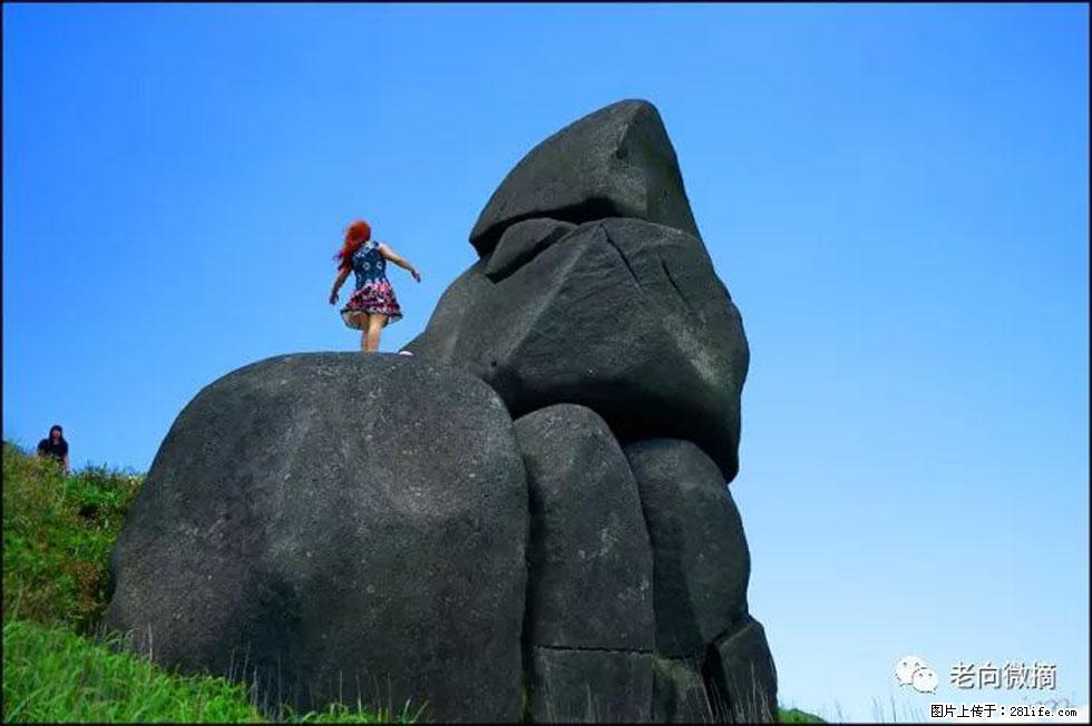 【春天,广西桂林灌阳县向您发出邀请!】宝盖山上映山红 - 游山玩水 - 南平生活社区 - 南平28生活网 np.28life.com