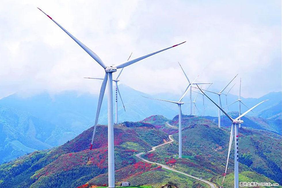 【春天,广西桂林灌阳县向您发出邀请!】春木界上映山红 - 游山玩水 - 南平生活社区 - 南平28生活网 np.28life.com