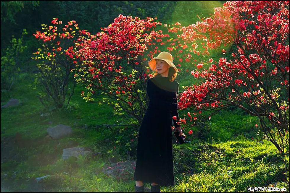 【春天,广西桂林灌阳县向您发出邀请!】春木界上映山红 - 游山玩水 - 南平生活社区 - 南平28生活网 np.28life.com