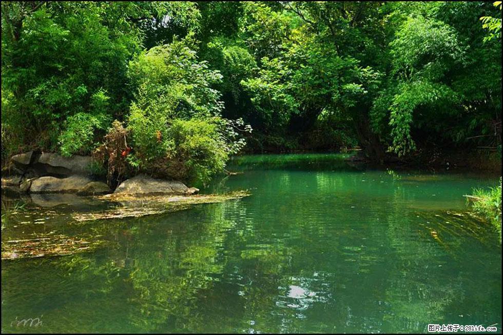 【春天,广西桂林灌阳县向您发出邀请!】如梦似幻莲溪庐 - 游山玩水 - 南平生活社区 - 南平28生活网 np.28life.com