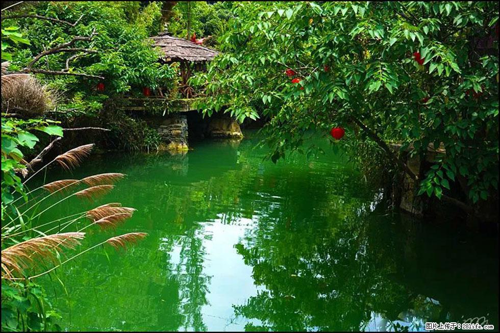 【春天,广西桂林灌阳县向您发出邀请!】如梦似幻莲溪庐 - 游山玩水 - 南平生活社区 - 南平28生活网 np.28life.com