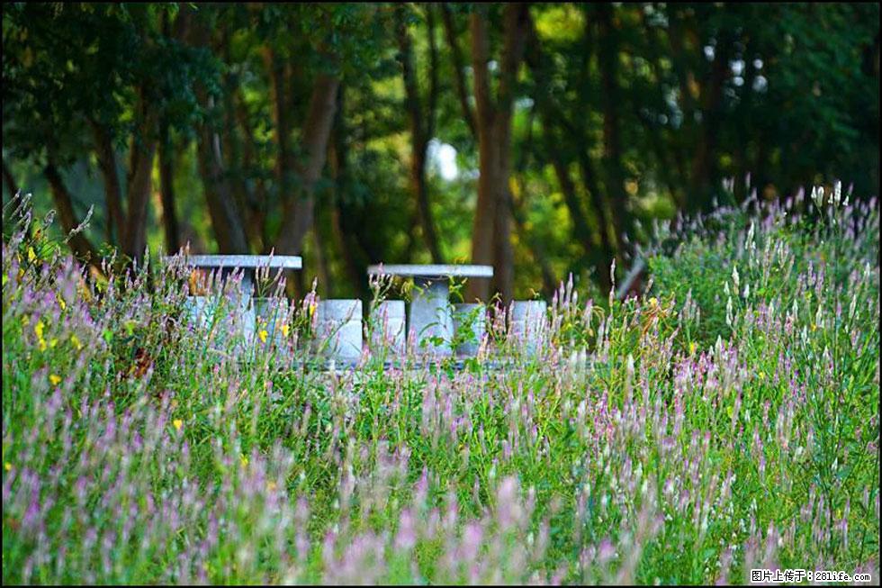 【春天,广西桂林灌阳县向您发出邀请!】熊家寨湿地公园 - 游山玩水 - 南平生活社区 - 南平28生活网 np.28life.com