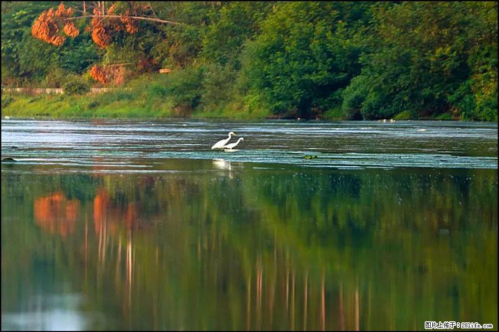 【春天,广西桂林灌阳县向您发出邀请!】熊家寨湿地公园 - 游山玩水 - 南平生活社区 - 南平28生活网 np.28life.com