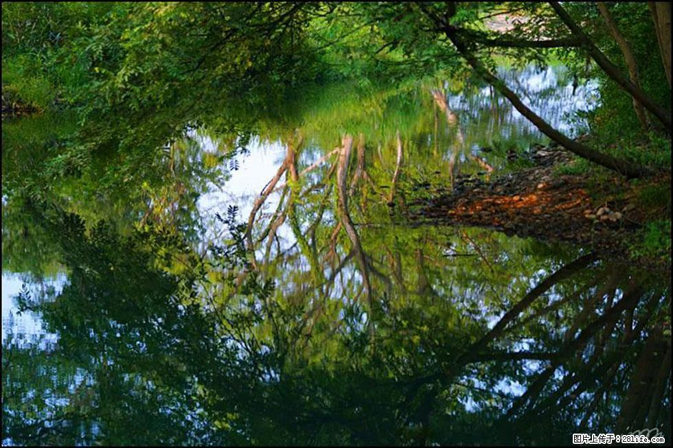 【春天,广西桂林灌阳县向您发出邀请!】熊家寨湿地公园 - 游山玩水 - 南平生活社区 - 南平28生活网 np.28life.com