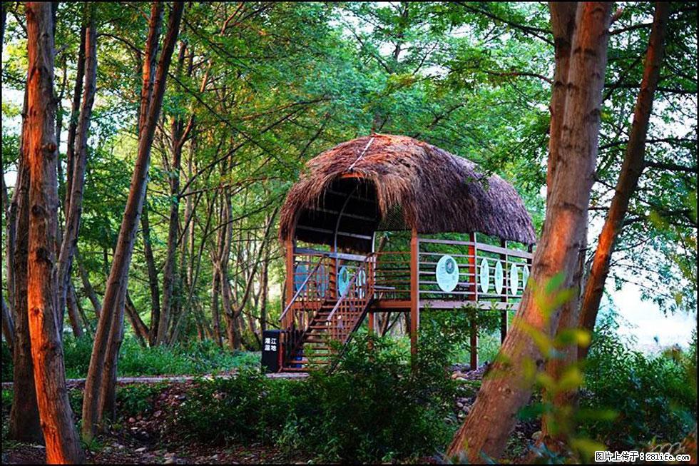 【春天,广西桂林灌阳县向您发出邀请!】熊家寨湿地公园 - 游山玩水 - 南平生活社区 - 南平28生活网 np.28life.com