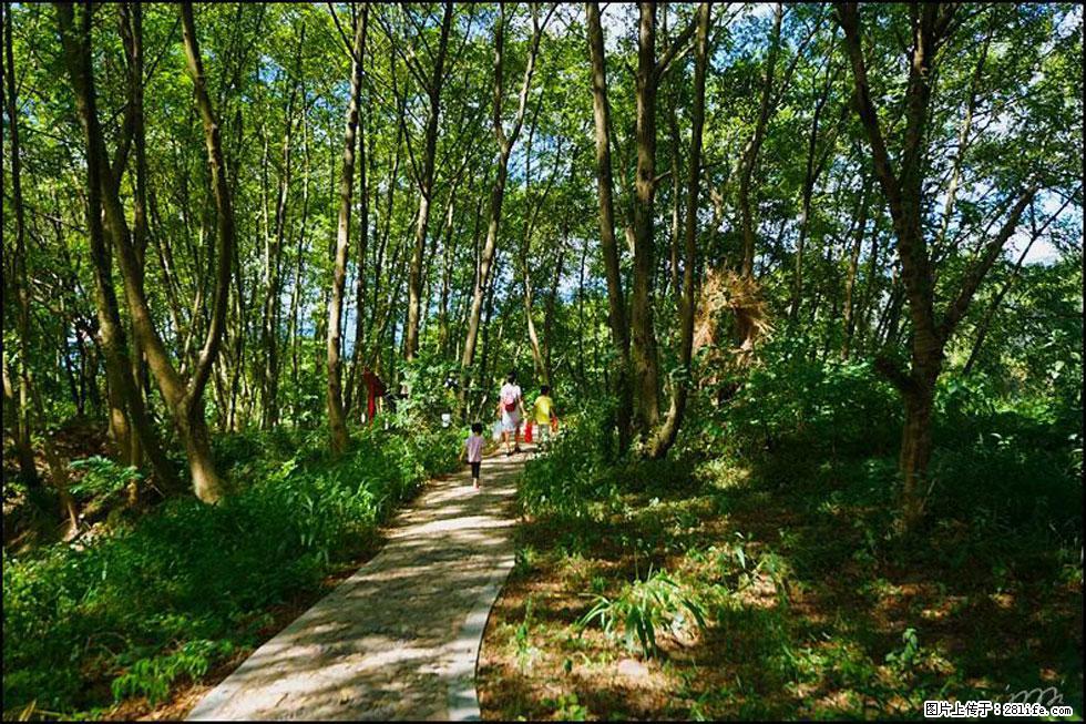 【春天,广西桂林灌阳县向您发出邀请!】熊家寨湿地公园 - 游山玩水 - 南平生活社区 - 南平28生活网 np.28life.com