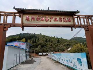 【灌阳县油茶产业示范区】一个有着充实的精神生活的人，对待身外之物自会有一种淡泊的态度 - 南平28生活网 np.28life.com