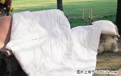 被子有异味？只要这样做，比晒太阳还强100倍！ - 家居生活 - 南平生活社区 - 南平28生活网 np.28life.com
