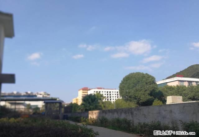 ,5项免费:宽带、闭路、健身房、物业、中介费 - 房屋出租 - 房屋租售 - 南平分类信息 - 南平28生活网 np.28life.com