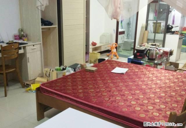 新城花园豪华独户超大单身公寓家电全阳光好押一付一仅租1180 - 房屋出租 - 房屋租售 - 南平分类信息 - 南平28生活网 np.28life.com