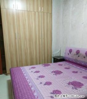 创世纪二期 稀缺超大单身公寓精装修只租1150元 - 南平28生活网 np.28life.com