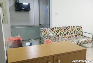 香樟名苑超豪华全新装修全新家电齐全1室2厅1阳光超好大阳台 - 南平28生活网 np.28life.com