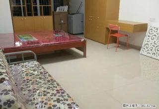 市政府旁香樟名苑豪华装修独门独户超大单身公寓阳光好仅1480 - 南平28生活网 np.28life.com