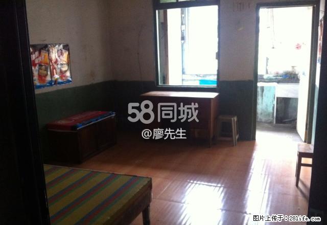 延平区八一路九峰大夏正下方 1室1厅1卫 - 房屋出租 - 房屋租售 - 南平分类信息 - 南平28生活网 np.28life.com