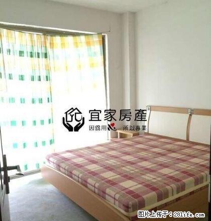 和顺精品两房,随时看房,! - 房屋出租 - 房屋租售 - 南平分类信息 - 南平28生活网 np.28life.com