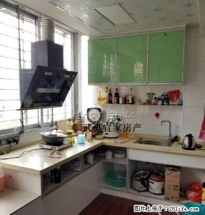 锦江花苑 电梯房 单身公寓 拎包即可 入住 - 房屋出租 - 房屋租售 - 南平分类信息 - 南平28生活网 np.28life.com