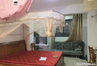 新城花园标准单身公寓精装修温馨舒适周边配套齐全停车免费包满意 - 南平28生活网 np.28life.com