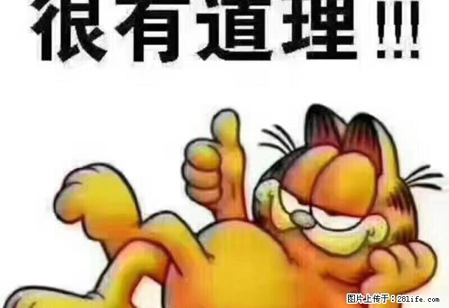 光明小学附近皇华公寓，4楼，简单装修 - 房屋出租 - 房屋租售 - 南平分类信息 - 南平28生活网 np.28life.com