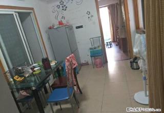 武夷香榭3楼 两室一厅 精装修 家电齐全 拎包入 - 南平28生活网 np.28life.com