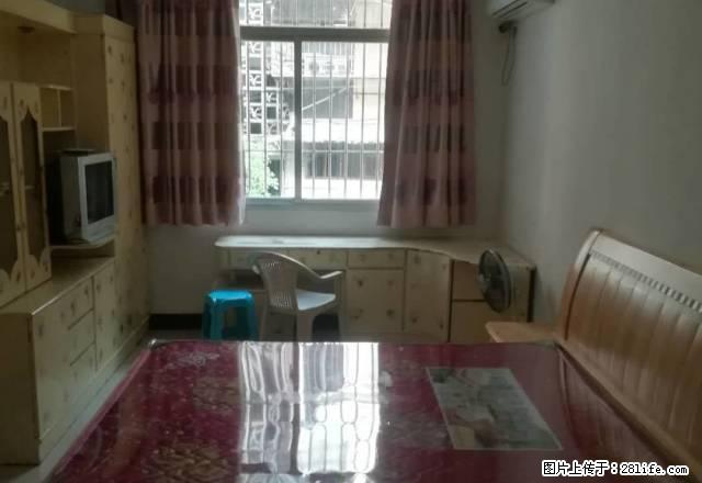 三元路 单身公寓 新装修 配套齐全 拎包入住 - 房屋出租 - 房屋租售 - 南平分类信息 - 南平28生活网 np.28life.com