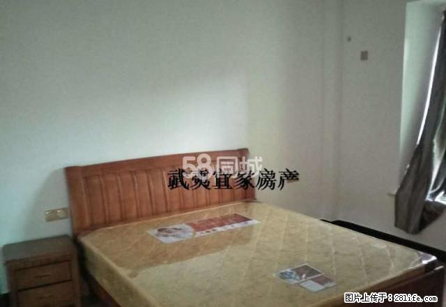 优质主推:万晟星城隔壁,大地崇阳小区,3室2厅2拎包入住 - 房屋出租 - 房屋租售 - 南平分类信息 - 南平28生活网 np.28life.com