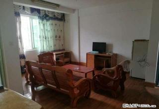 景苑小区（二监宿舍）好地段价格底、毗邻小学、市场、新华都 - 南平28生活网 np.28life.com