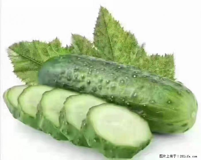 【生活小常识】吃黄瓜的好处 - 生活百科 - 南平生活社区 - 南平28生活网 np.28life.com
