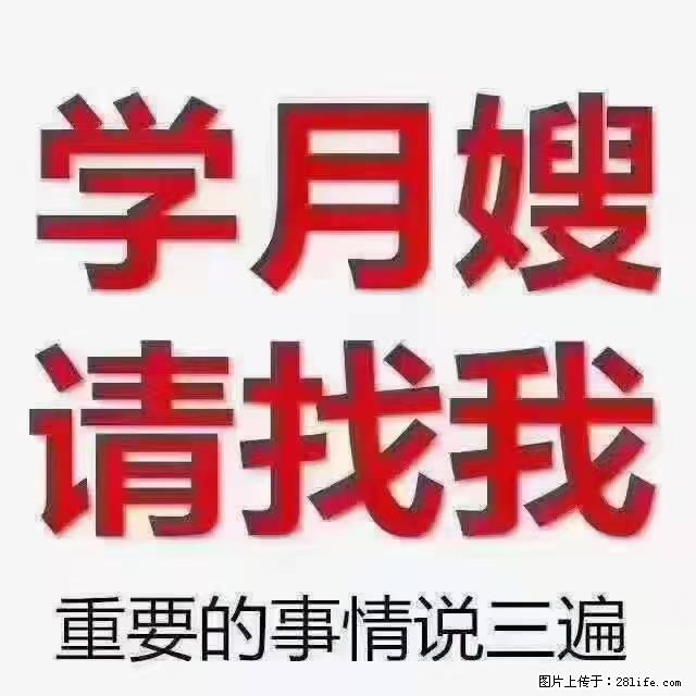 【招聘】月嫂，上海徐汇区 - 职场交流 - 南平生活社区 - 南平28生活网 np.28life.com