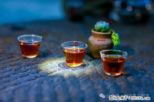 时间果百年古树2025年春红茶 - 购物交流 - 南平生活社区 - 南平28生活网 np.28life.com