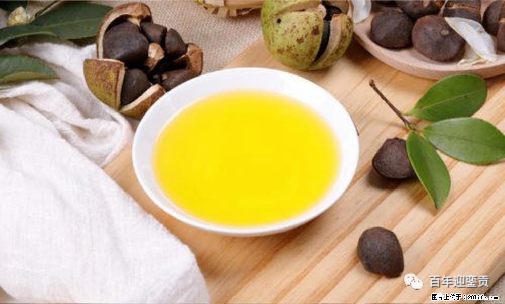 揭秘茶油的5大核心营养成分！被称为人体健康的“守护盾”！ - 南平生活资讯 - 南平28生活网 np.28life.com