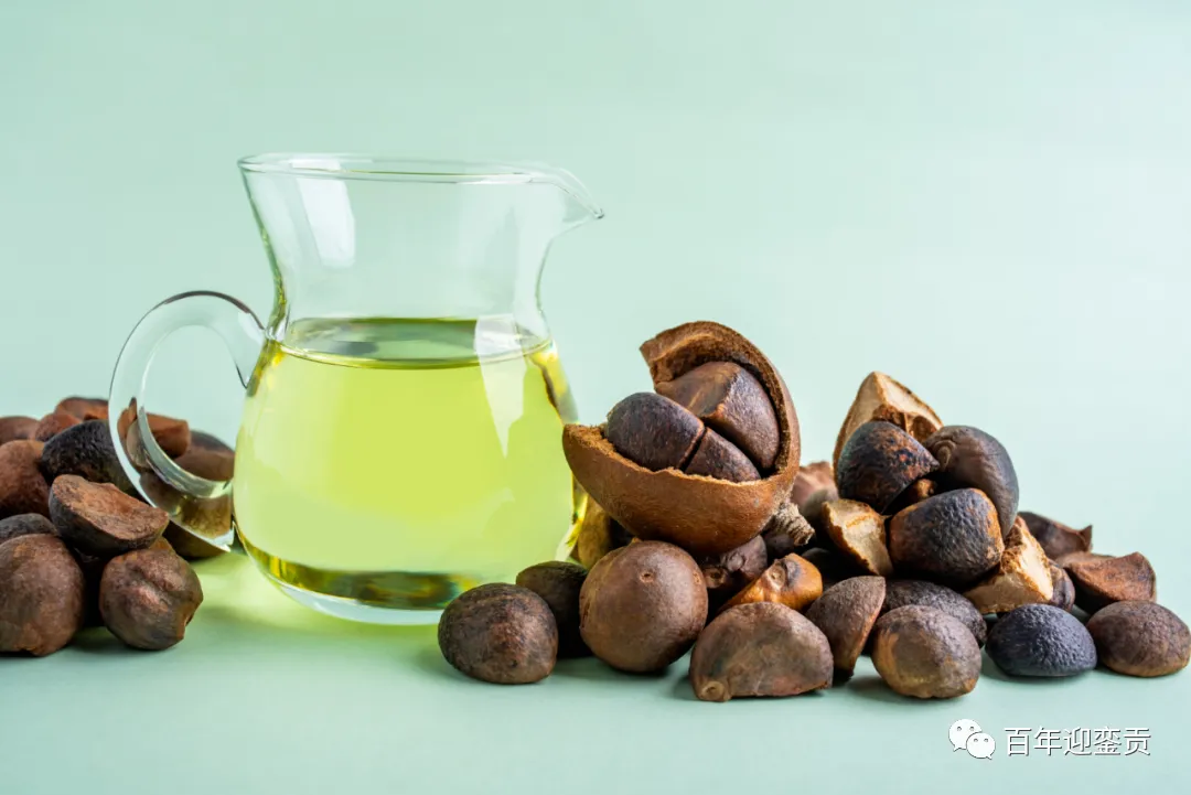 世界没有真相，只有认知，最好的食用油是中国的山茶油！ - 南平生活资讯 - 南平28生活网 np.28life.com