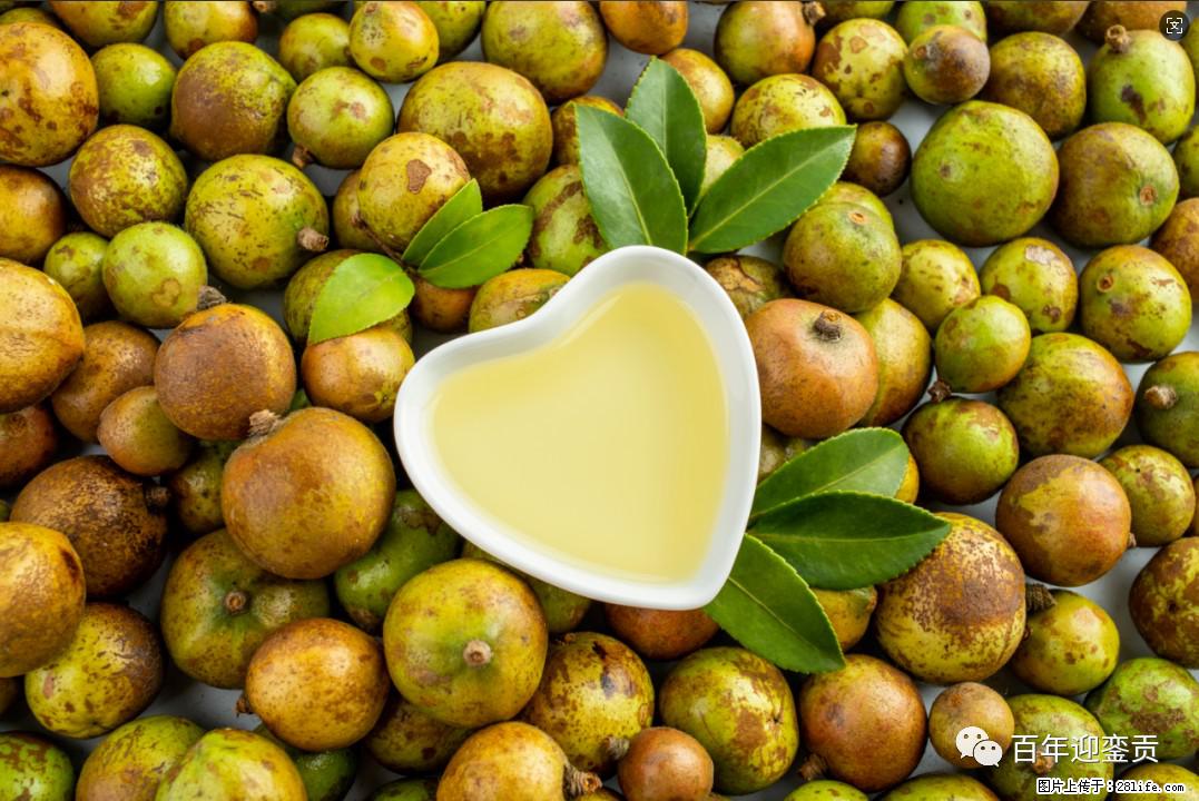 世界没有真相，只有认知，最好的食用油是中国的山茶油！ - 南平生活资讯 - 南平28生活网 np.28life.com